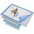 thumbnail image 1 of Bandeja Porta Empapadores para Perros Skywin 76x58cm de Silicona Antidesbordamiento, 1 of 6