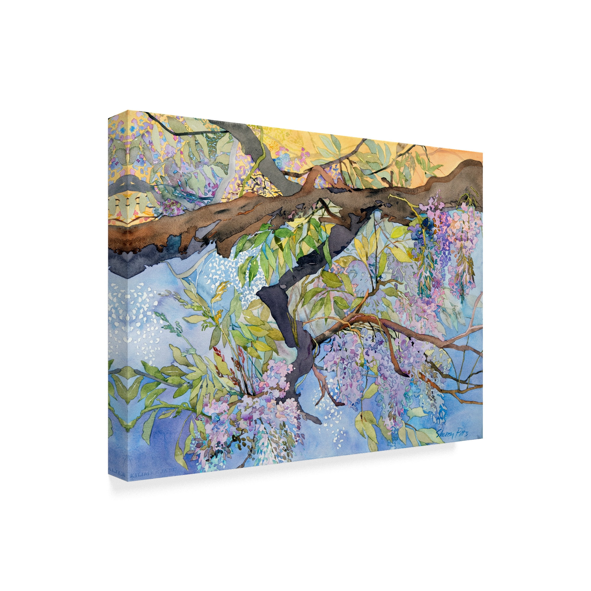 Trademark Fine Art 'Wisteria Van Vleck' Canvas Art by Sharon Pitts