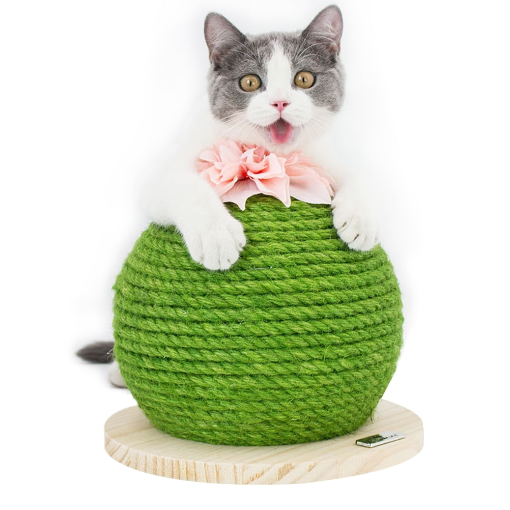 Cat claw toy online