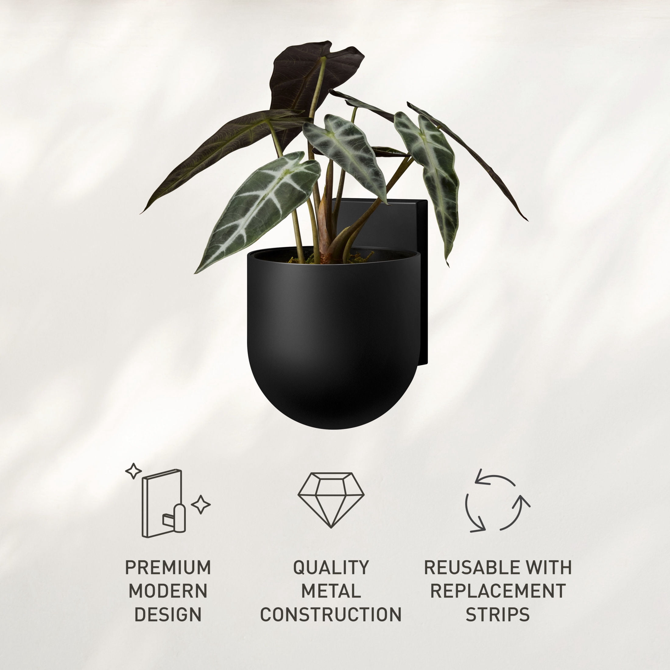 Command Decor Metal Wall Plant Hanger, Matte Black, 1 Planter, 1 Planter Insert, 6 Large Adhesive Strips