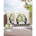 thumbnail image 6 of Pack of 2 Outdoor Pillow Covers, Gnome Lemon in Farm Truck Black and White Checked Waterproof Square Throw Pillowcase Cushion Decorative Pillow Covers for Couch Patio Tent, 24x24 in, 6 of 6