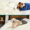thumbnail image 2 of PetAmi Premium Cooling Dog Blanket | Lightweight Fluffy Pet Throw Blanket Bed Cover for Dogs, Cat, Puppies | Pet Blanket Furniture Protector Couch Sofa | Reversible Fuzzy Cozy | 29x40, Beige Latte, 2 of 8