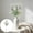 White, variant on 22.8 Inch Artificial 3-Heads Rose Stem Realistic Faux Rose Flower Waterproof Plastic Floral for Outdoor Garden Porch Patio Home Wedding Decoration,Beige