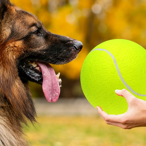 Big balle de tennis pour Chien 9.5 pouces : : Animalerie