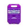 thumbnail image 1 of Paquete de Hielo Reutilizable Arctic Ice Serie Tundra Morado, 1 of 7