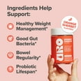 thumbnail image 3 of O Positiv URO Prebiotic Fiber Gummies for Digestive Gut Health and Regularity, 50 Count, 3 of 9