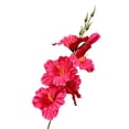 thumbnail image 4 of Artificial Gladiolus Flowers, Multi-Heads Single Stem for Wedding Home Decor, Lifelike Faux Flowers for Outdoor Photography Props, Garden Event Decoration, Artificial Gladiolus Flowers * 6 Bunches, 4 of 7