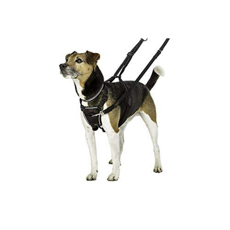 What Is The Best No Pull Harness For A Dog