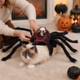 thumbnail image 3 of mdesiwst Pet Spider Costume, Halloween Cat Spider Outfit with Skull Face, Black Spider Holiday Apparel for Cats Dogs Cosplay Party Photo Props, 3 of 8