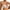 Khaki, variant on Bras for Women Full Coverage Racerback Push up Bras for Women No Underwire Bras Push up for Women Bras for Women Clearance Sale
