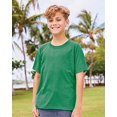 thumbnail image 2 of Fruit Of The Loom T-Shirt à Manches Courtes en Coton HD pour Jeunes, 68, Rétro Chiné, 2 of 6