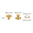 thumbnail image 2 of 100 Juegos Ojales Kit Metal Ojales 3mm 0.12 Ojal Herramienta para Zapatos Ropa Cinturón Bolsa Bricolaje Proyecto Dorado Tono, 2 of 7