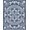 Blue White, Pattern 12, variant on ODIKA 8'x10' Washable Area Rug Animals Marine Turtle Scattered Ocean Border Symmetrical Nautical for Living Room, Under Sectional, Family , Durable, Non-Slip