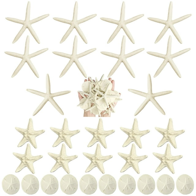 Juego Queekay 30 estrellas de mar y dólares de arena de resina de 5 a 12 cm
