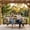 Brown, variant on Wooden Porch Swing Bed Twin Size with 4 Heavy Duty Ropes, Outdoor Hanging Daybed Swing Bench for 2 Person, Acacia Wood Farmhouse Patio Swing Chair for Porch, Backyard, Garden (Wood)