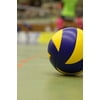 LAMINATED POSTER Ball Sports Volley Volleyball Sport Ball Poster Print 24 x 36