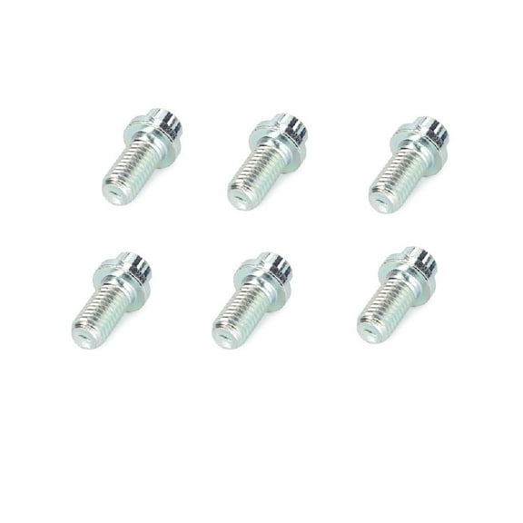 AGCO (OEM) 3009775X1 (6 pk) 12 point flange head bolts for The PTO Shaft and Exhaust Pipes on Massey Ferguson and Challenger Tractors