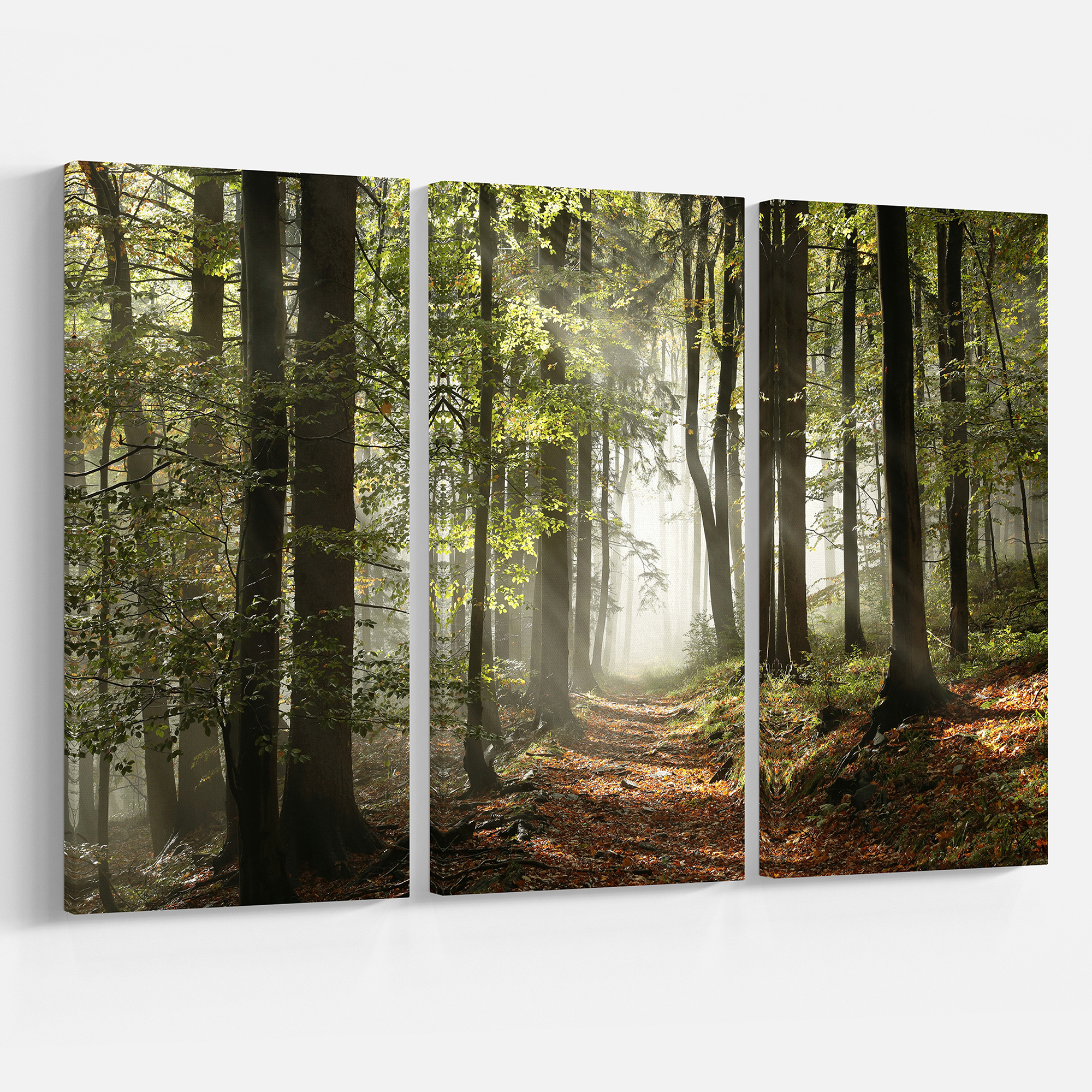 Designart 'Green Fall Forest with Sun Rays ' Landscape Photography Canvas Print