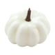 thumbnail image 1 of Pequeña calabaza artificial realista, de otoño, mini calabaza para el hogar, decoración de de otoño, decoración de fiesta de Halloween 65x9cm, 1 of 8