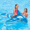 thumbnail image 2 of Inflatable Buoy - Rideable Shark 152cmX114cm, 2 of 4