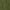 Military Green, variant on I'm Proud Step Dad OF A Freaking Awesome Step Daughter Shirt Father's Day Step Dad Bonus Dad Shirt