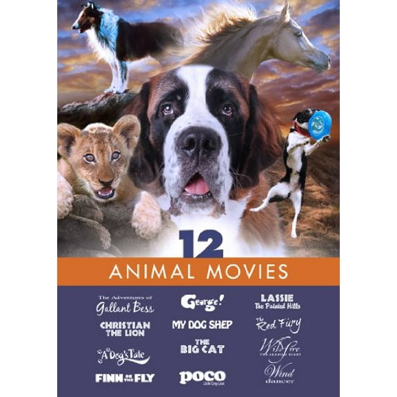 Animal Movies: Family Film (DVD)