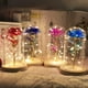 thumbnail image 3 of La Bella y la Bestia, rosa, flor encantada con luz LED en cúpula de cristal para Navidad, Día de San Valentín, Día de la Madre, cumpleaños, el mejor regalo para novia, esposa, mujer, ella, colorido Fokelyi ZJWJ623-4, 3 of 3