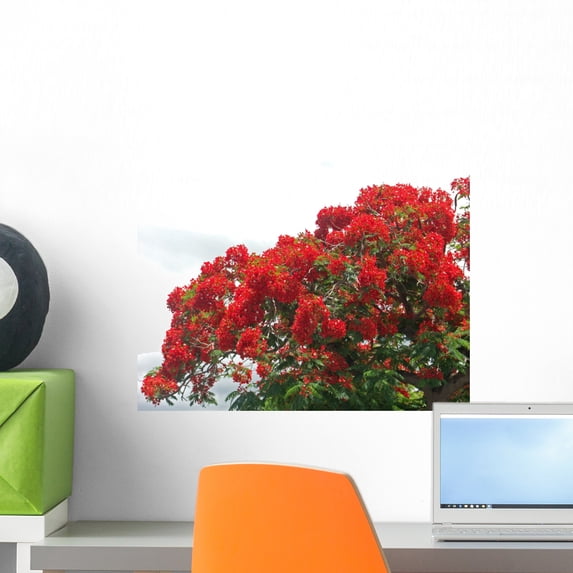 Flamboyant Des Les Wall Mural by Wallmonkeys Peel and Stick Graphic (18 in W x 13 in H) WM232261
