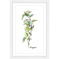Marmont Hill "Herb Oregano" by Rachel Byler Framed Painting Print