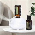 thumbnail image 1 of Mini Fragrance Diffuser Aromatherapy Machine Automatic Induction Portable Cute for Diffuser USB 26s, 1 of 5