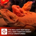thumbnail image 4 of czcpp-Infrared Ampoules Chauffantes, 100w Ampoules Chauffantes pour Reptiles, Lumière de Base Rouge Ampoule Chauffante Dimmable pour Poules Lézard Barbu Dragon Léopard Gecko-Lot de 2, 4 of 4