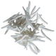 thumbnail image 4 of Juguetes de broma de gusanos falsos Macarena 100 Uds, 4 of 8