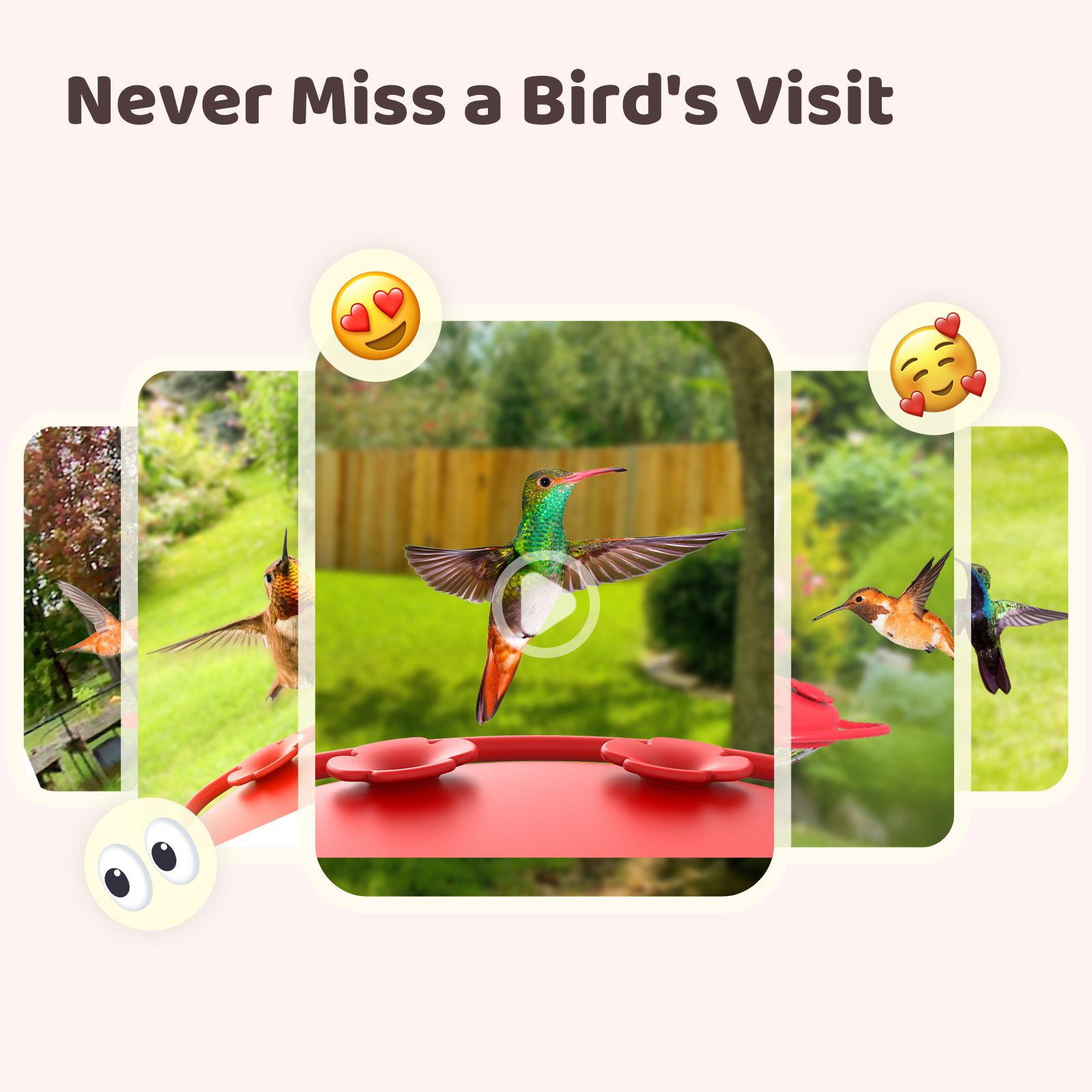 Birdfy Humming Bird Feeder with Camera, 1080P FHD Hummingbird Feeder Camera with Ant Moat, AI Identify Bird Species, Ideal Gift