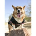 thumbnail image 6 of Pets First NFL Arizona CardinalsLicensed Mesh Jersey for Dogs and Cats - Extra Large, 6 of 6