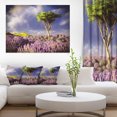 thumbnail image 1 of Green Tree in Lavender Field, 1 of 1