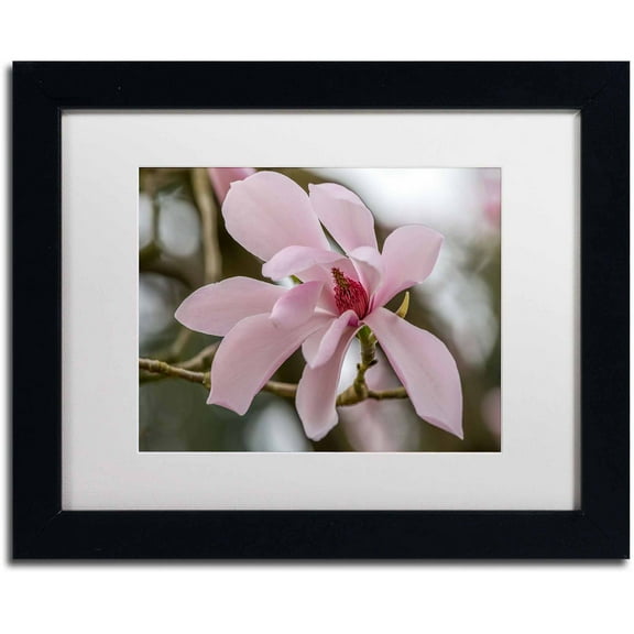 Trademark Fine Art "Magnolia" Canvas Art by Pierre Leclerc, White Matte/Black Frame