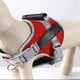 thumbnail image 5 of Pechera Arnés Para Perro Regulable Con Bandas Reflectivas, 5 of 8
