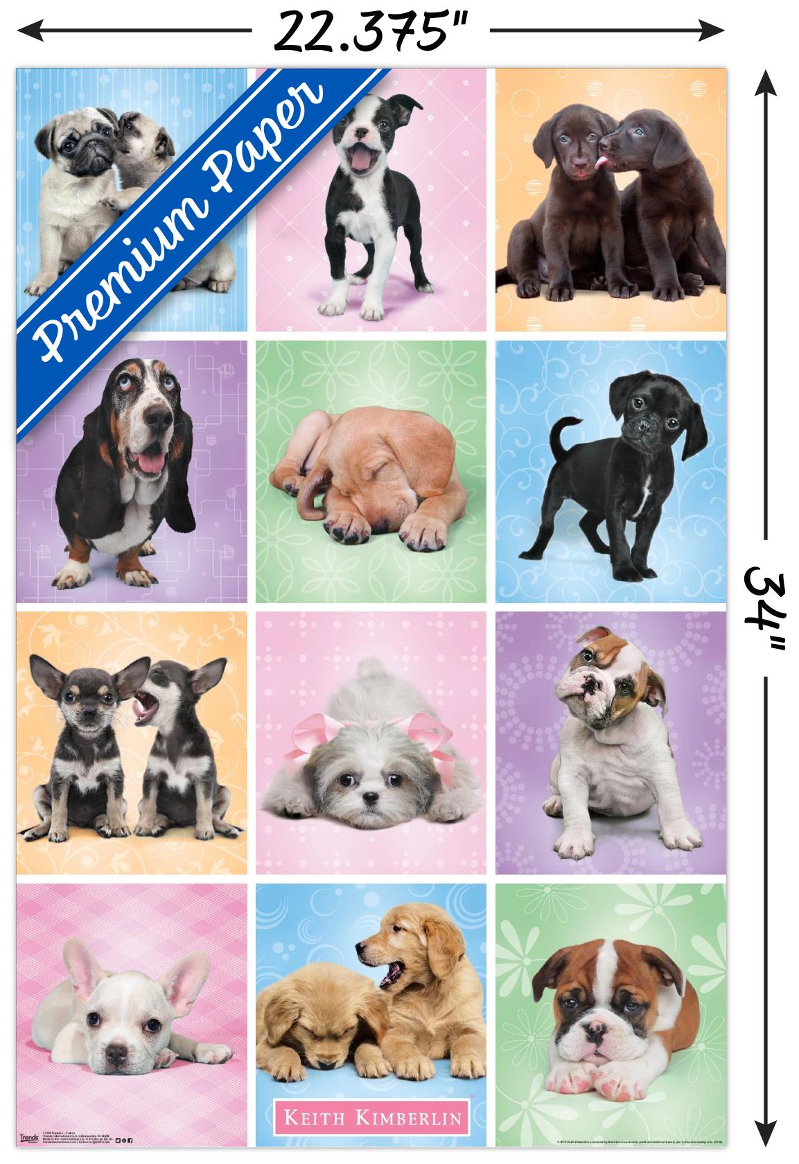 Keith Kimberlin - Puppies - Cuties Grid Wall Poster, 22.375" x 34"