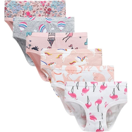 Little Girls  Soft Cotton Underwear Kids Cool Breathable Comfort Panty Briefs Toddler Undies (Pack of 6) Size 2T