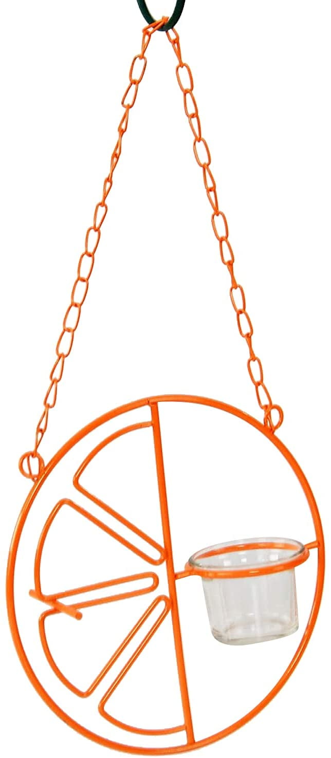 Outdoor Hanging Bird Feeder Orange Oriole/Hummingbird Feeder,Automatic