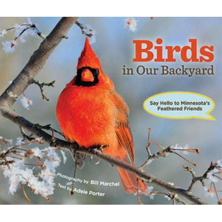 Birds in Our Backyard : Say Hello to Minnesota's Feathered