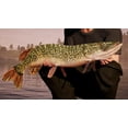 thumbnail image 2 of Fishing Sim World [Xbox One], 2 of 6