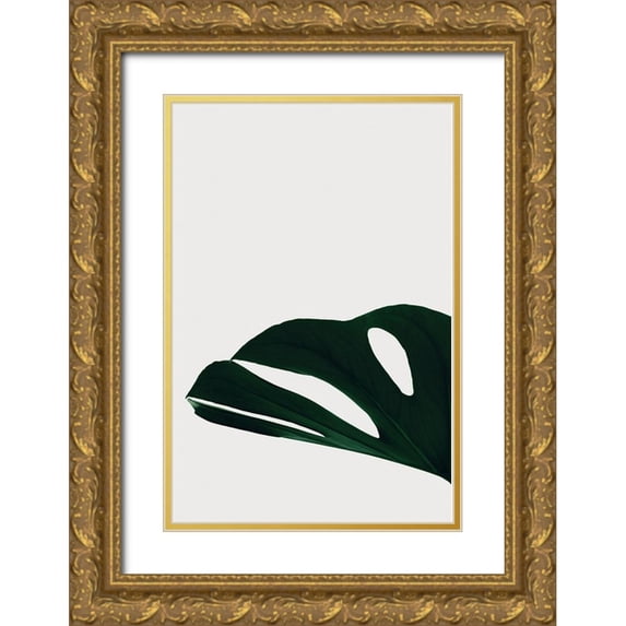 Artographie Studio 17x24 Gold Ornate Wood Framed with Double Matting Museum Art Print Titled - Monstera Natural 21