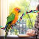 thumbnail image 5 of 2 Pieces Toy Bird Rope Perches Climbing Rope Bungee Bird Toys Rope Perch Stand Cage Rope Comfy Perch Parrot Toys for Parrot, Parakeets Cockatiels, Conures, 5 of 5