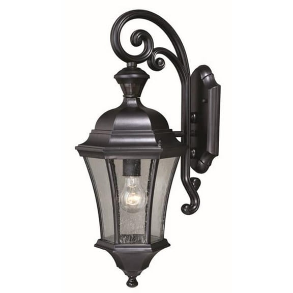 60W 10 in. Aberdeen Dualux Outdoor Wall Light Shiny Black, Clear Seeded Glass