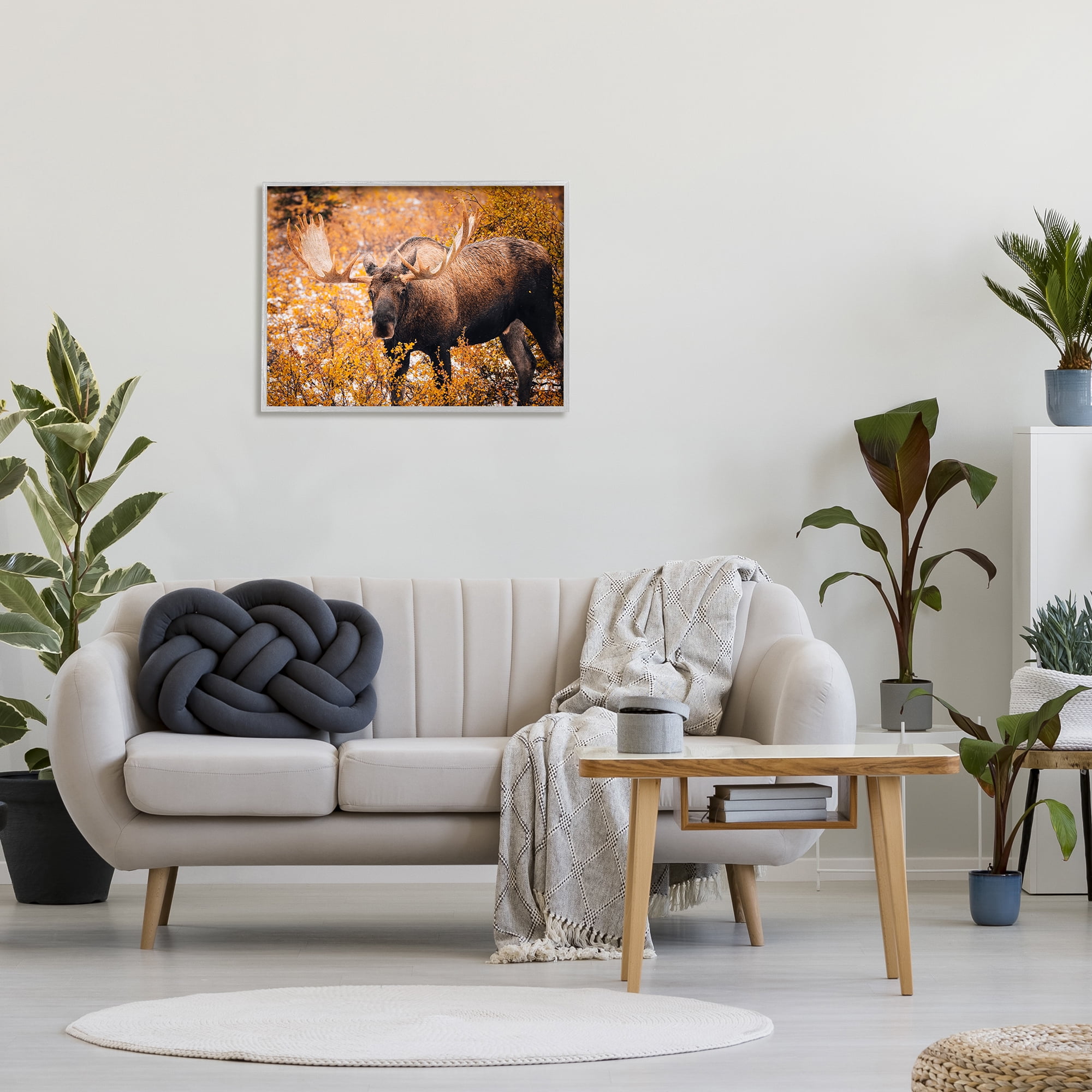Stupell Industries Moose in Autumn Foliage Animals & Insects Photography Gray Framed Art Print Wall Art, 30 x 24