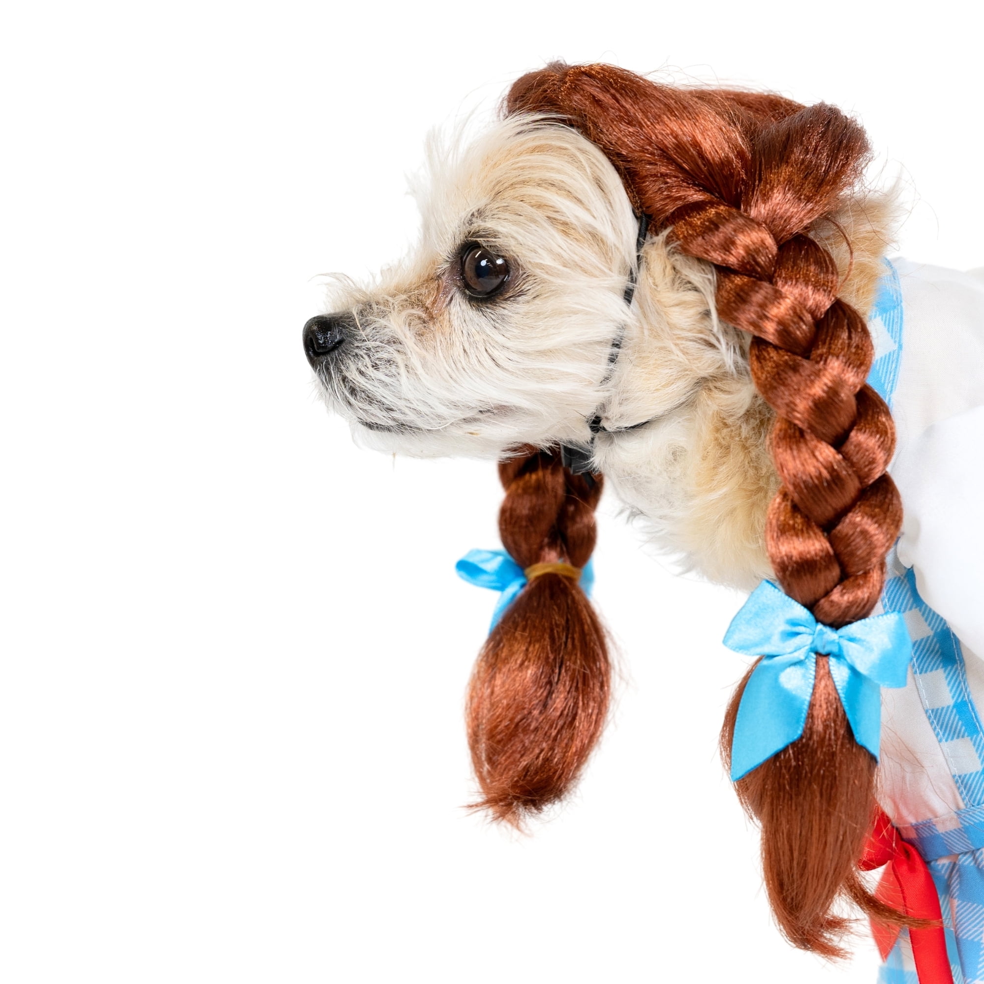 Vibrant Life Halloween Gingham Girl Costume for Dogs and Cats, Blue and White, Extra Small