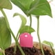 thumbnail image 5 of Etiquetas 100 Uds. De etiquetas para plántulas DIY, etiquetas creativas para plantas y flores, herramientas de jardín (rosa), 5 of 5