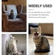 thumbnail image 4 of 4 Uds. De bolas para Gato, juguetes bonitos para gatitos, bolas para mascotas, bolas para rechinar los dientes, bolas para Entrenamiento de mascotas, 4 of 6
