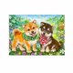 thumbnail image 1 of 40x50 Cm 5d Peinture Diamant Diy Complet, Chien De Compagnie Mignon, Diy Diamond Strass Toile Point De Croix Painting Par Numro Pour Dcoration M, 1 of 5